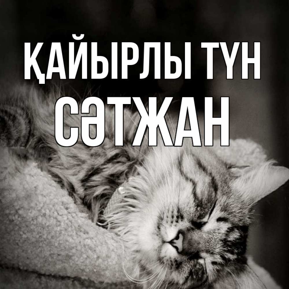 Күн сайын ашық хат с именем, СӘТЖАН Қайырлы түн котярик пушистый Онлайн тегін жүктеп алу тілектері бар керемет карта 