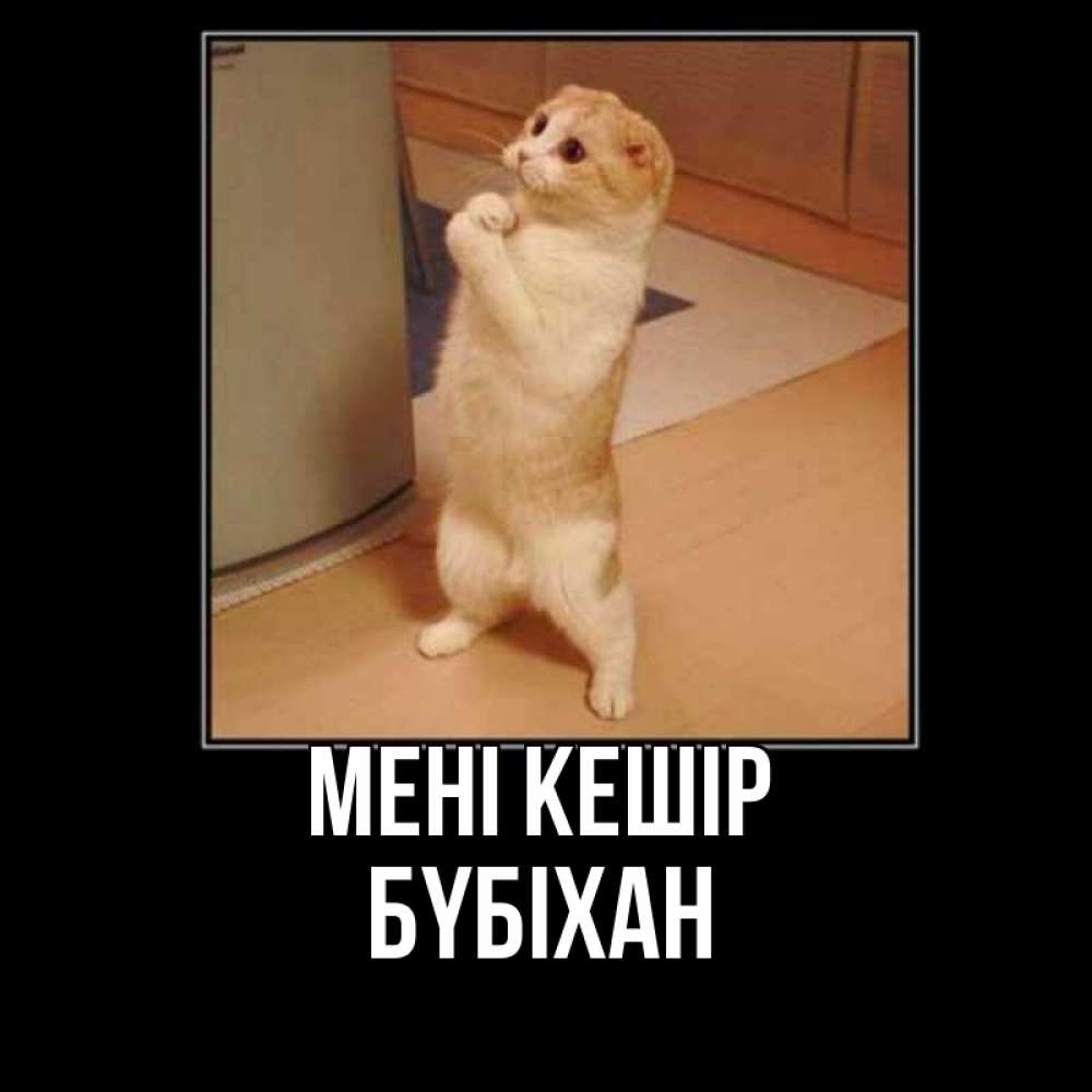 Күн сайын ашық хат с именем, БҮБІХАН Мені кешір открытка с милым несчастным котиком просящим прощения Онлайн тегін жүктеп алу тілектері бар керемет карта 