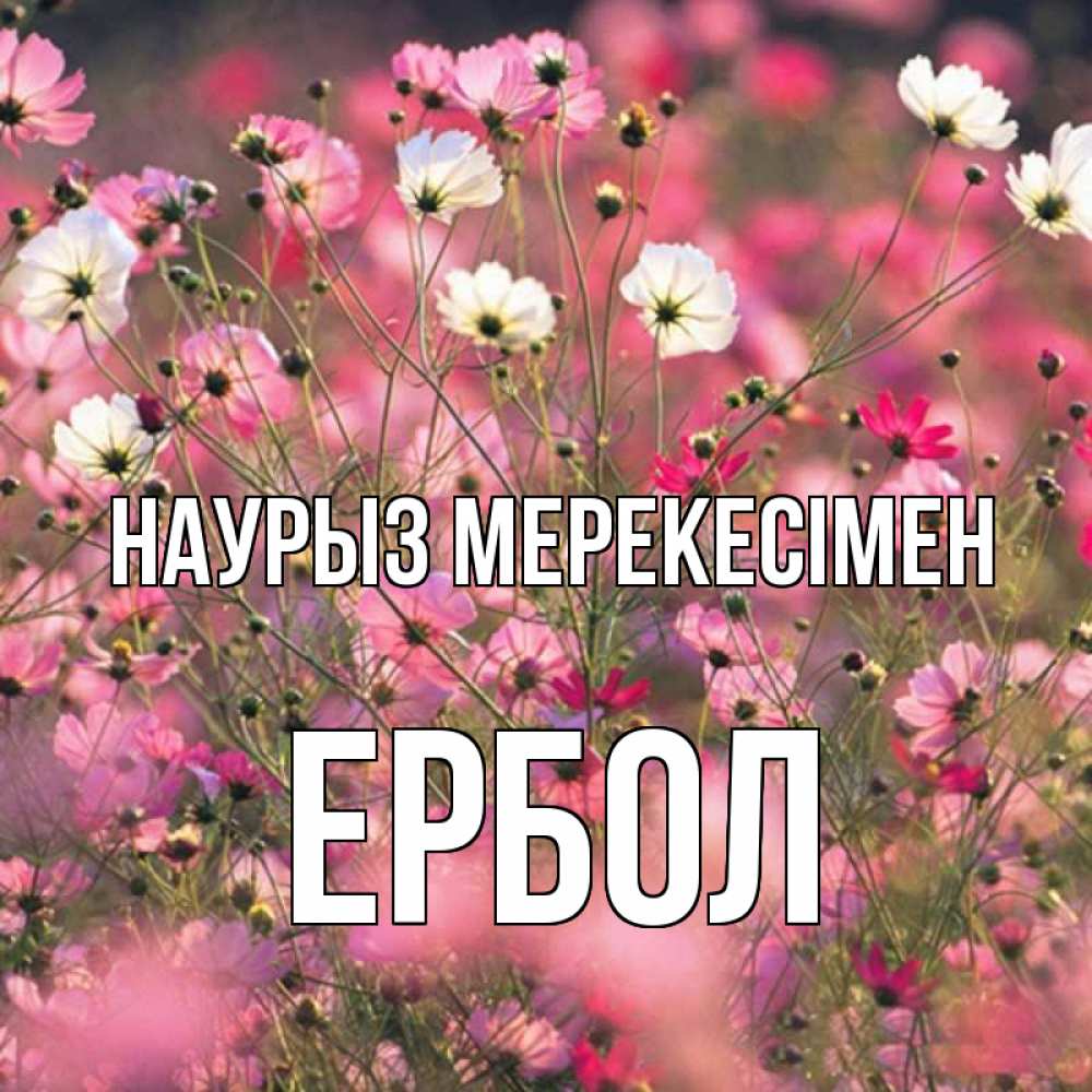 Күн сайын ашық хат с именем, Ербол Наурыз мерекесімен красиво 1 Онлайн тегін жүктеп алу тілектері бар керемет карта 