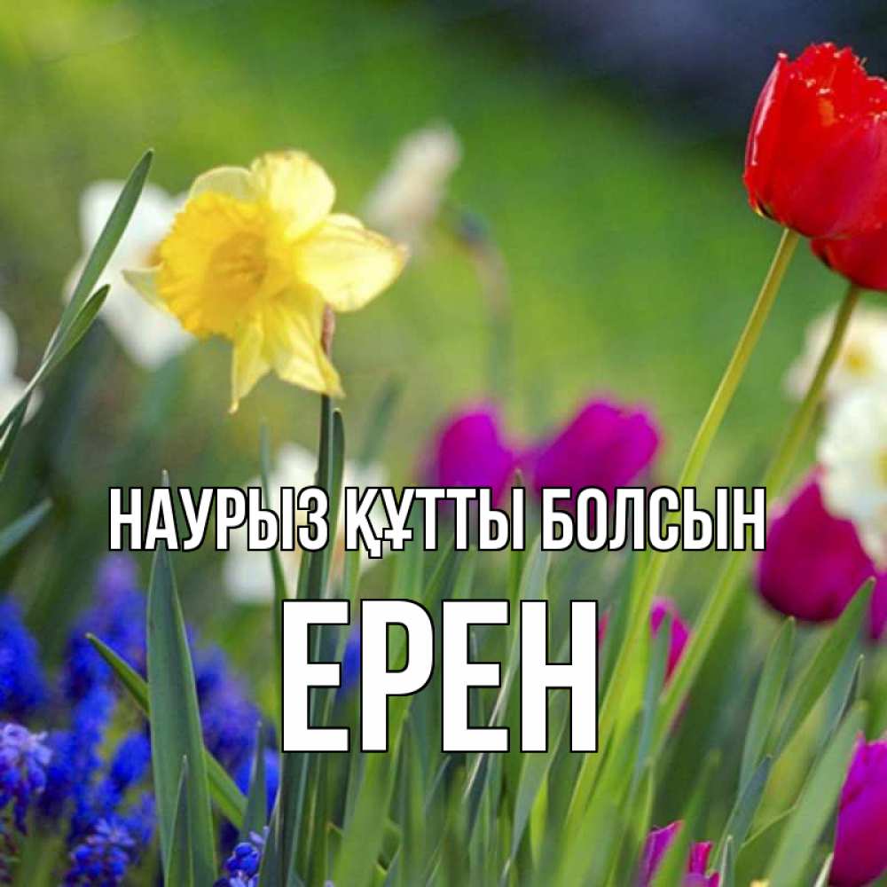 Күн сайын ашық хат с именем, Ерен Наурыз құтты болсын наурыз  3 открытки Онлайн тегін жүктеп алу тілектері бар керемет карта 