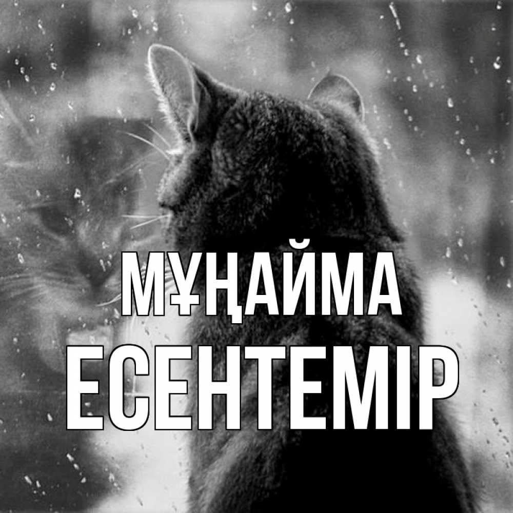 Күн сайын ашық хат с именем, Есентемір Мұңайма отражение кота 1 Онлайн тегін жүктеп алу тілектері бар керемет карта 