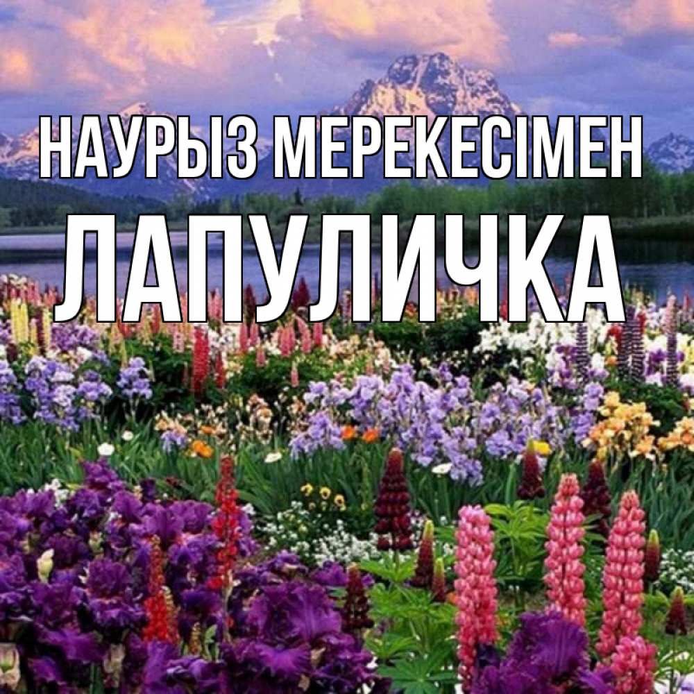 Күн сайын ашық хат с именем, Лапуличка Наурыз мерекесімен праздник весны наурыз Онлайн тегін жүктеп алу тілектері бар керемет карта 