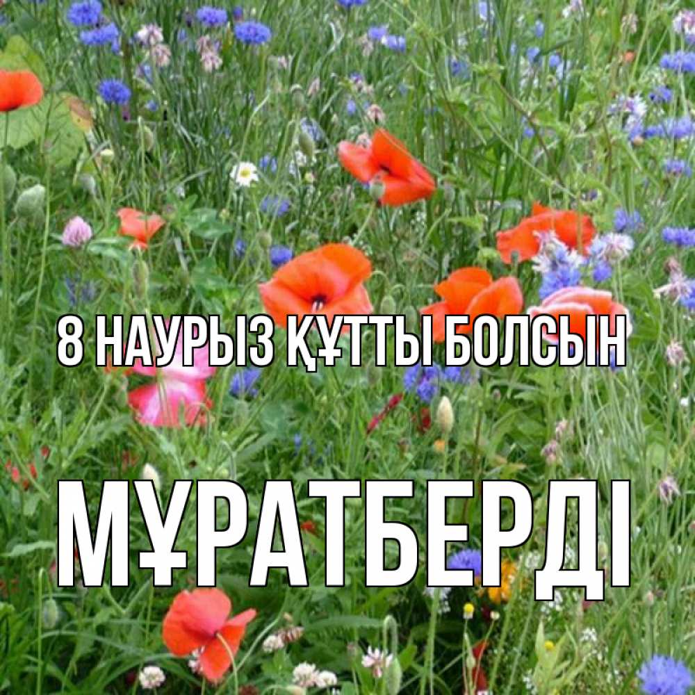 Күн сайын ашық хат с именем, Мұратберді 8 наурыз құтты болсын международный женский день 4 Онлайн тегін жүктеп алу тілектері бар керемет карта 