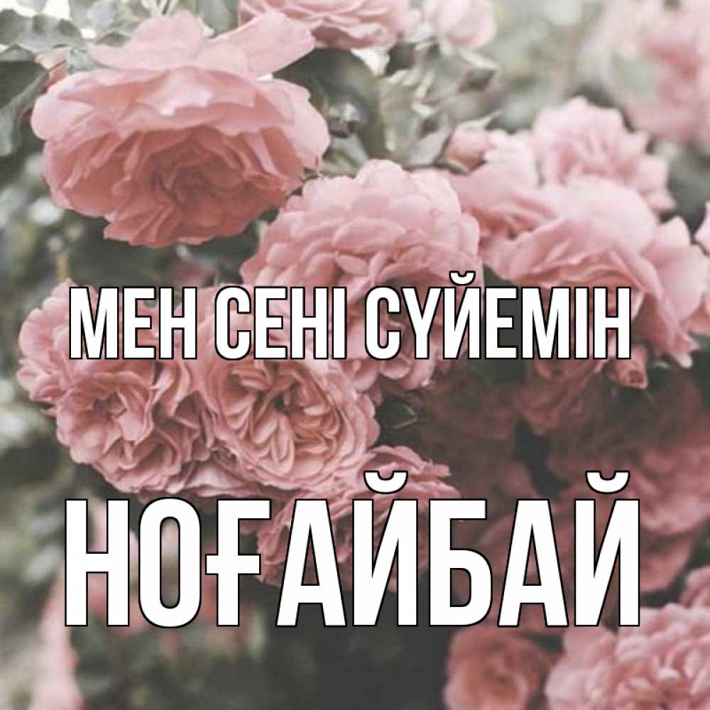 Күн сайын ашық хат с именем, НОҒАЙБАЙ Мен сені сүйемін розы 3 Онлайн тегін жүктеп алу тілектері бар керемет карта 