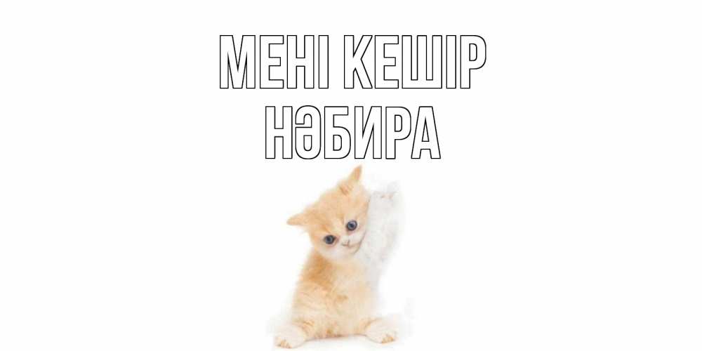 Күн сайын ашық хат с именем, НӘБИРА Мені кешір кот Онлайн тегін жүктеп алу тілектері бар керемет карта 