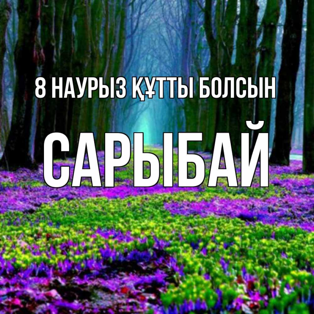 Күн сайын ашық хат с именем, САРЫБАЙ 8 наурыз құтты болсын фиолетовые цветы в лесу 1 Онлайн тегін жүктеп алу тілектері бар керемет карта 