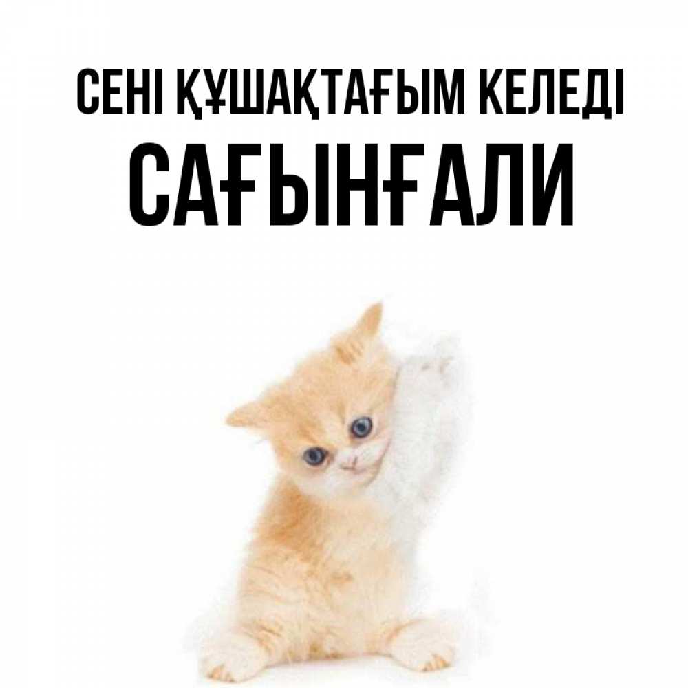Күн сайын ашық хат с именем, Сағынғали сені құшақтағым келеді я хочу очень скорее обнимаешек Онлайн тегін жүктеп алу тілектері бар керемет карта 