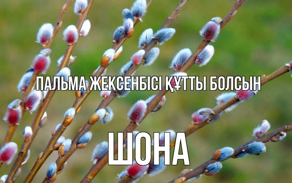 Күн сайын ашық хат с именем, ШОНА Пальма жексенбісі құтты болсын верба Онлайн тегін жүктеп алу тілектері бар керемет карта 