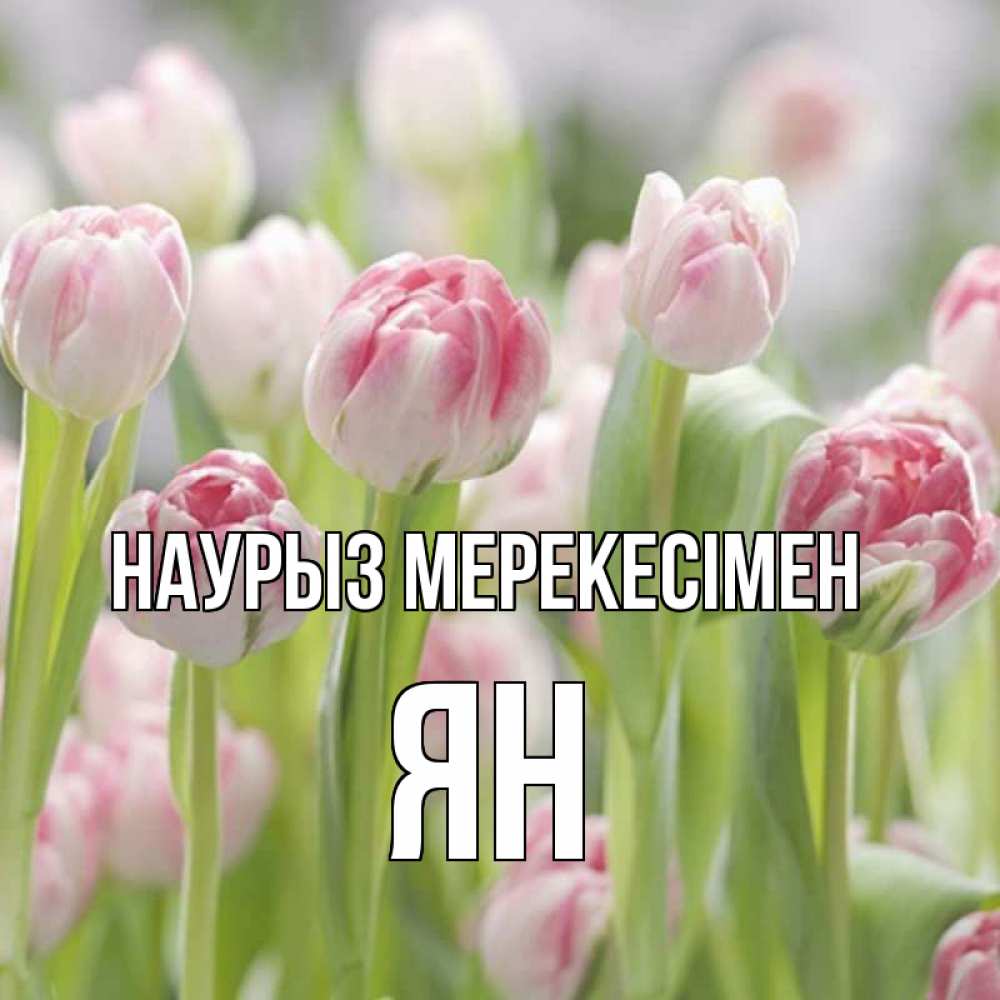 Күн сайын ашық хат с именем, Ян Наурыз мерекесімен цветы Онлайн тегін жүктеп алу тілектері бар керемет карта 