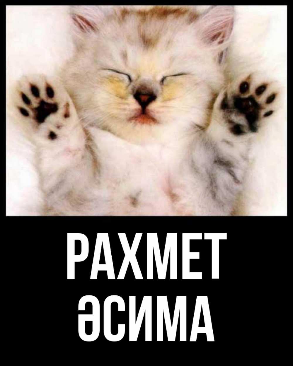Күн сайын ашық хат с именем, ӘСИМА рахмет маленький котенок Онлайн тегін жүктеп алу тілектері бар керемет карта 