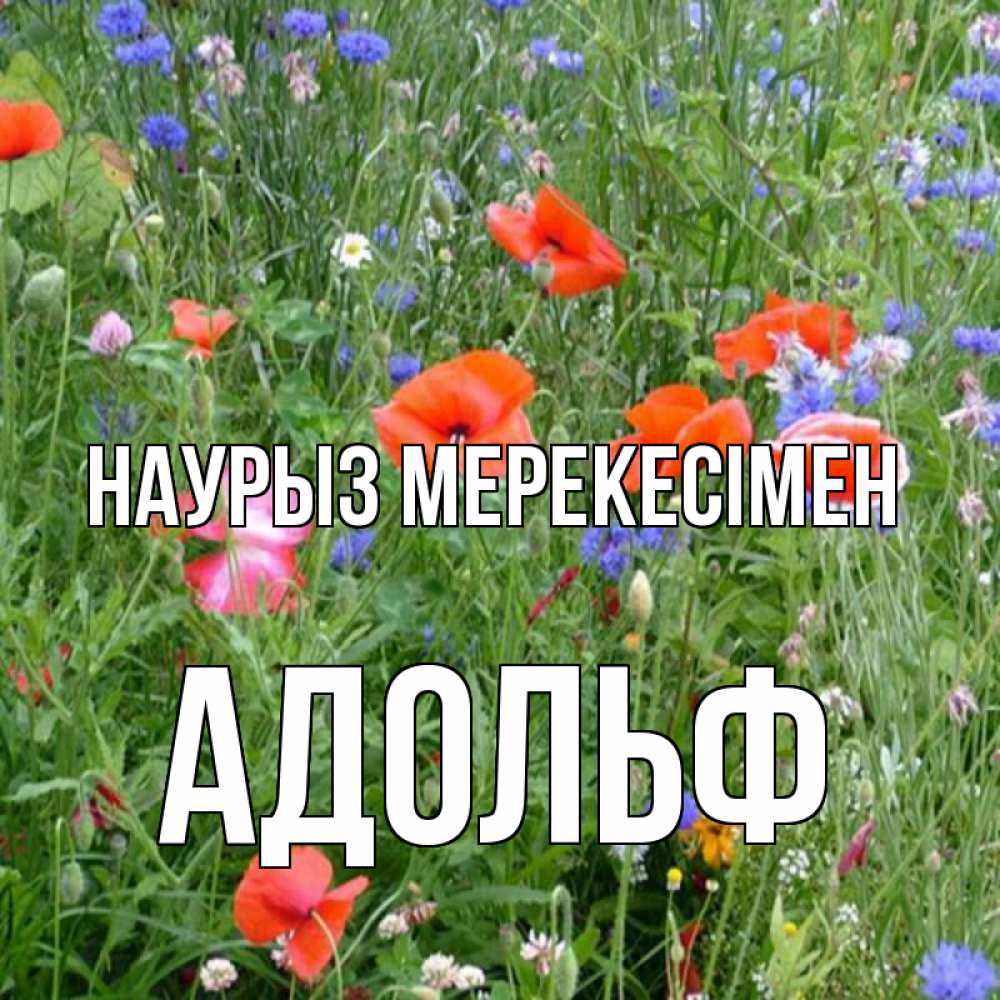 Күн сайын ашық хат с именем, Адольф Наурыз мерекесімен праздник весны наурыз супер открытка Онлайн тегін жүктеп алу тілектері бар керемет карта 