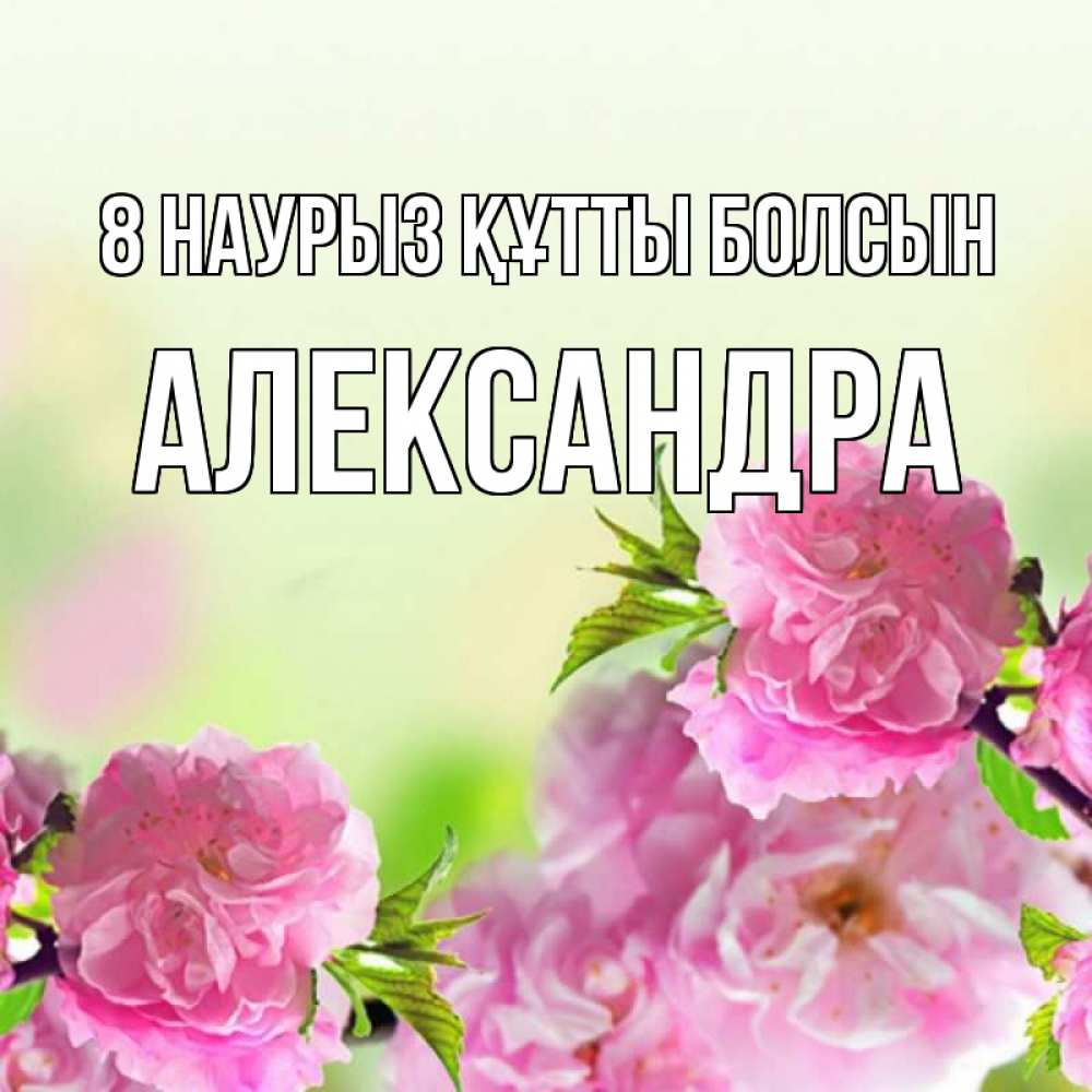 Күн сайын ашық хат с именем, Александра 8 наурыз құтты болсын цветы Онлайн тегін жүктеп алу тілектері бар керемет карта 