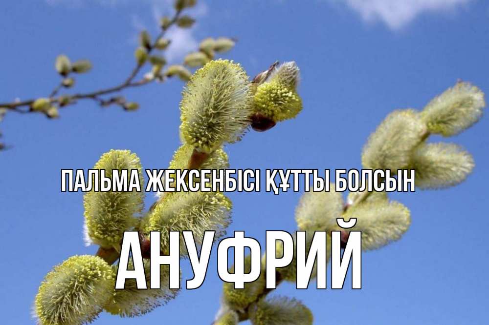 Күн сайын ашық хат с именем, Ануфрий Пальма жексенбісі құтты болсын верба Онлайн тегін жүктеп алу тілектері бар керемет карта 