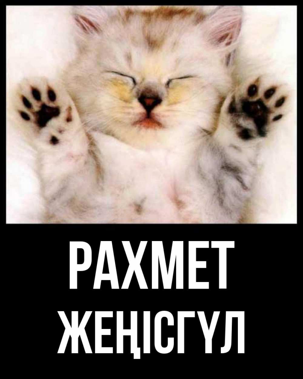 Күн сайын ашық хат с именем, ЖЕҢІСГҮЛ рахмет маленький котенок Онлайн тегін жүктеп алу тілектері бар керемет карта 