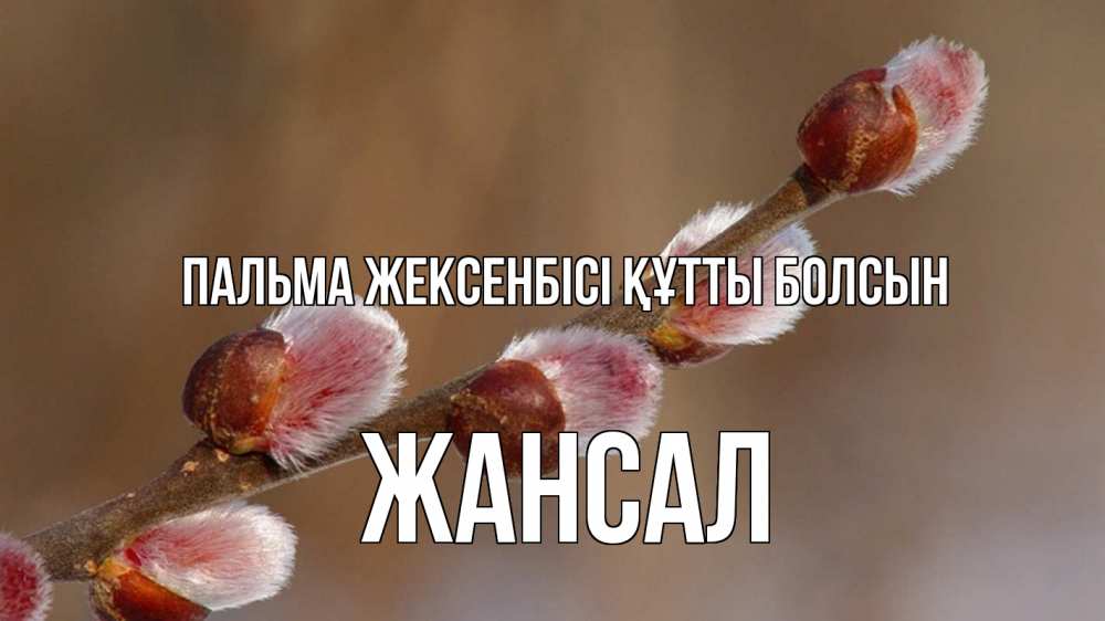 Күн сайын ашық хат с именем, Жансал Пальма жексенбісі құтты болсын верба Онлайн тегін жүктеп алу тілектері бар керемет карта 