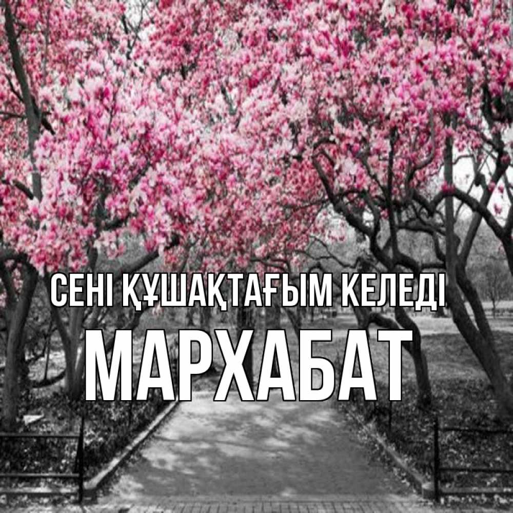Күн сайын ашық хат с именем, МАРХАБАТ сені құшақтағым келеді обработанное фото Онлайн тегін жүктеп алу тілектері бар керемет карта 