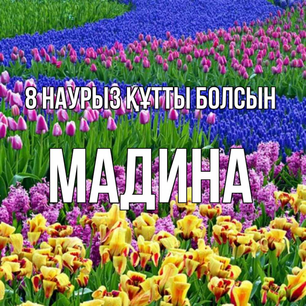 Күн сайын ашық хат с именем, Мадина 8 наурыз құтты болсын цветы Онлайн тегін жүктеп алу тілектері бар керемет карта 