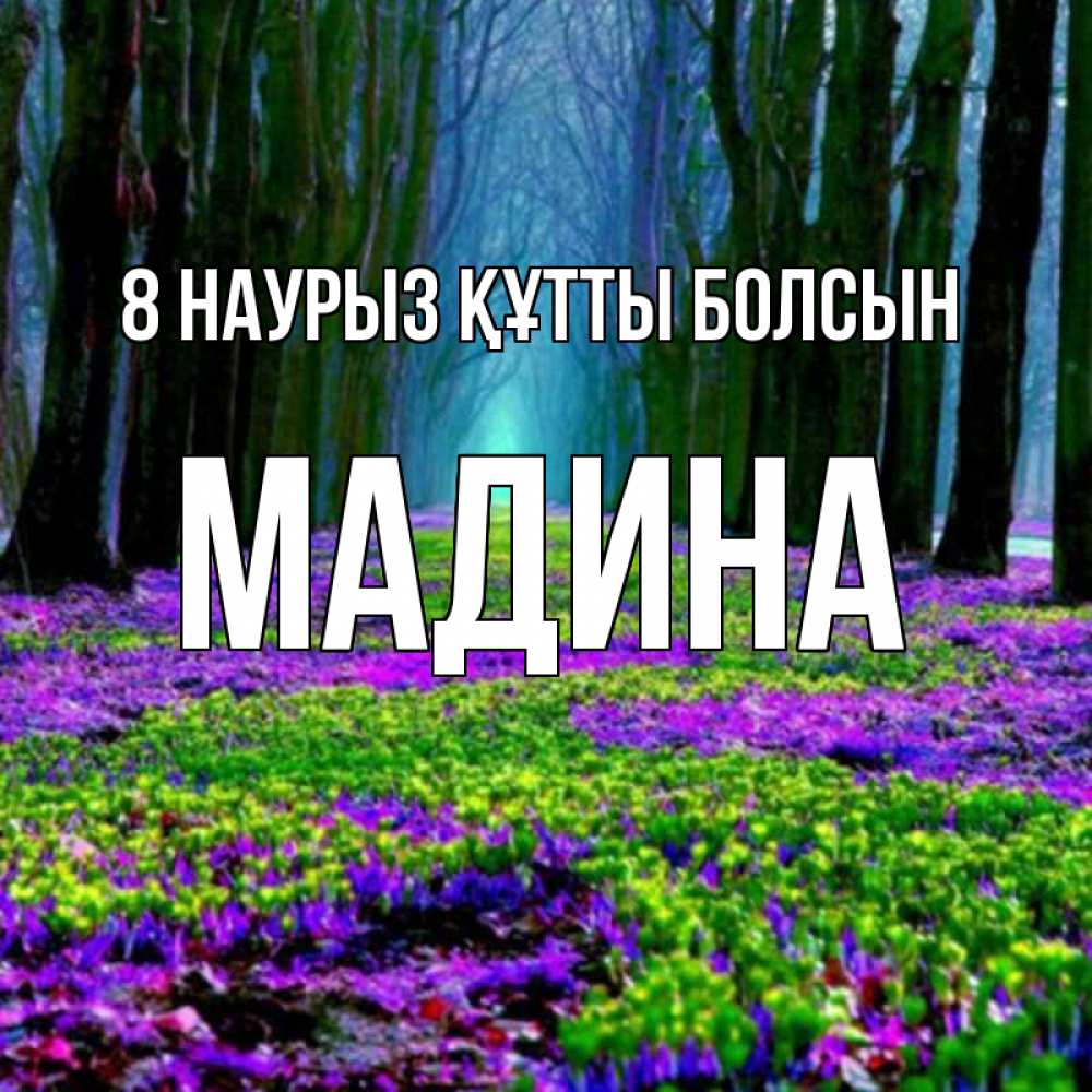 Күн сайын ашық хат с именем, Мадина 8 наурыз құтты болсын фиолетовые цветы в лесу 1 Онлайн тегін жүктеп алу тілектері бар керемет карта 