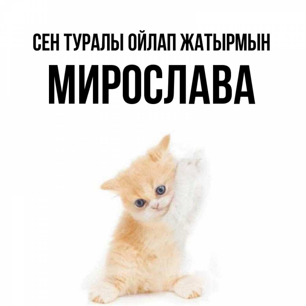 Күн сайын ашық хат с именем, Мирослава Сен туралы ойлап жатырмын зверушки и милота Онлайн тегін жүктеп алу тілектері бар керемет карта 