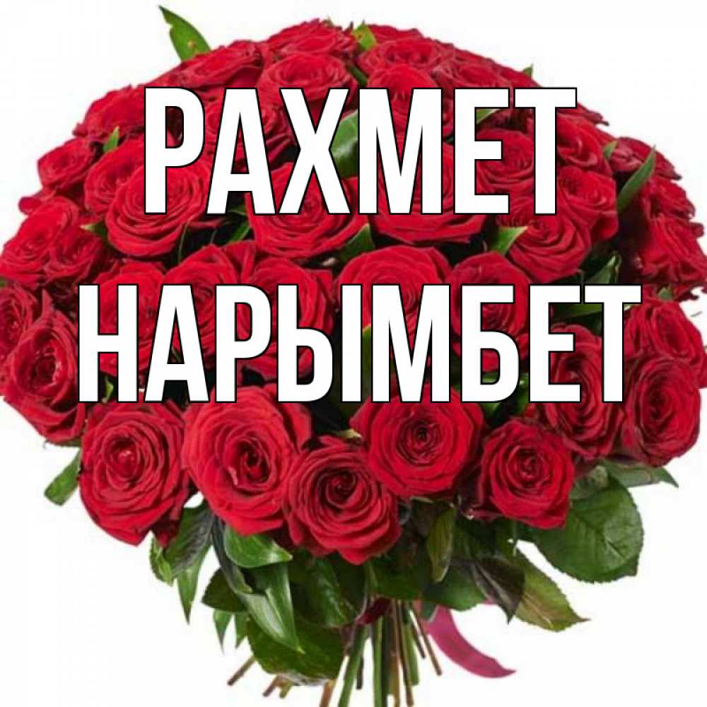 Күн сайын ашық хат с именем, Нарымбет рахмет букет красных роз Онлайн тегін жүктеп алу тілектері бар керемет карта 
