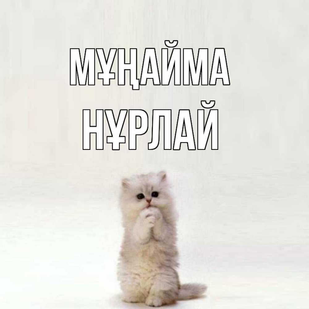 Күн сайын ашық хат с именем, НҰРЛАЙ Мұңайма грустный кот Онлайн тегін жүктеп алу тілектері бар керемет карта 