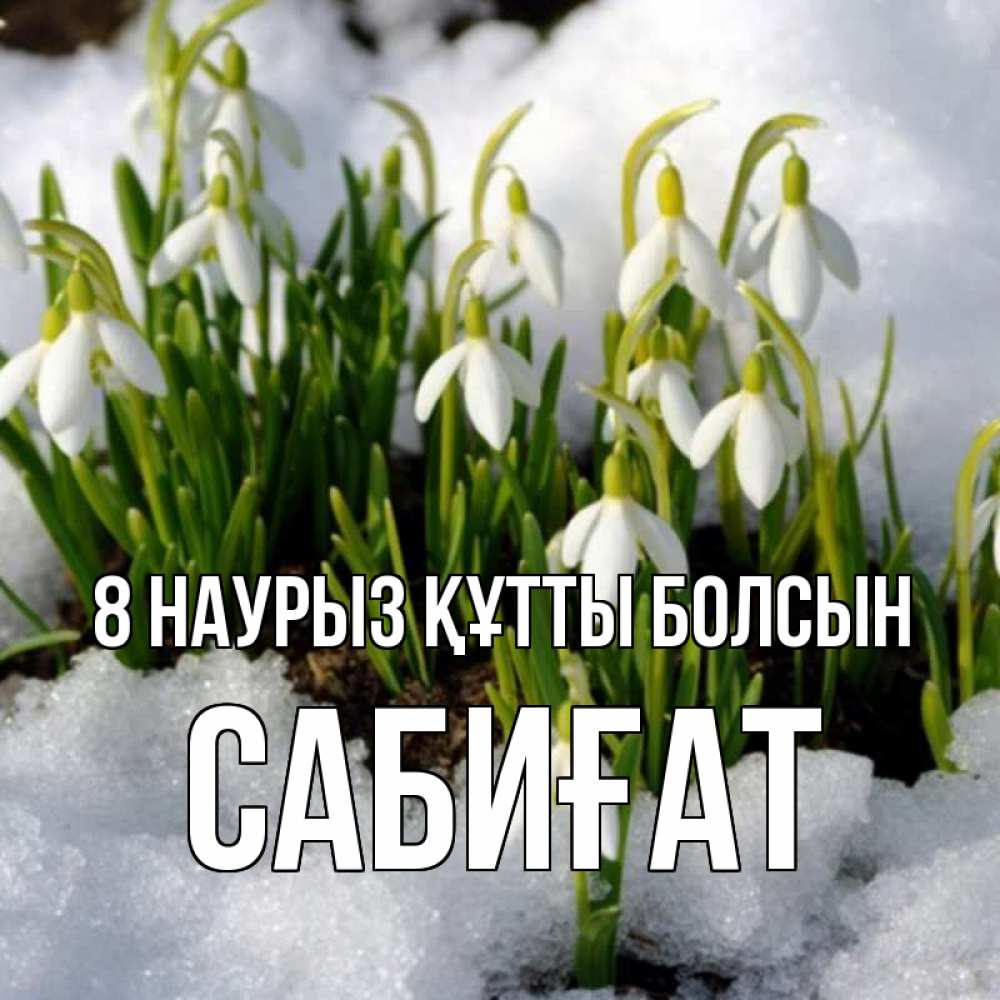 Күн сайын ашық хат с именем, САБИҒАТ 8 наурыз құтты болсын цветы весенние Онлайн тегін жүктеп алу тілектері бар керемет карта 