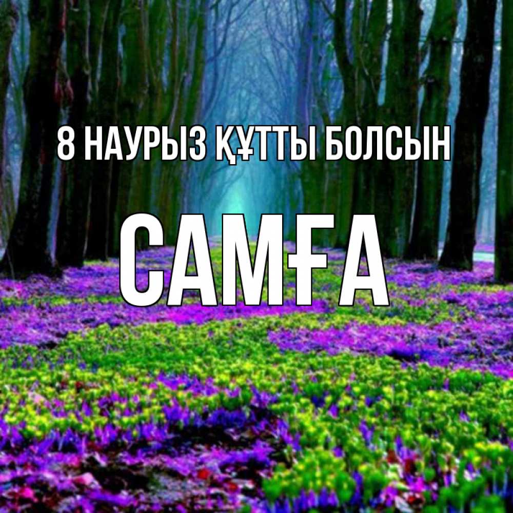 Күн сайын ашық хат с именем, САМҒА 8 наурыз құтты болсын фиолетовые цветы в лесу 1 Онлайн тегін жүктеп алу тілектері бар керемет карта 