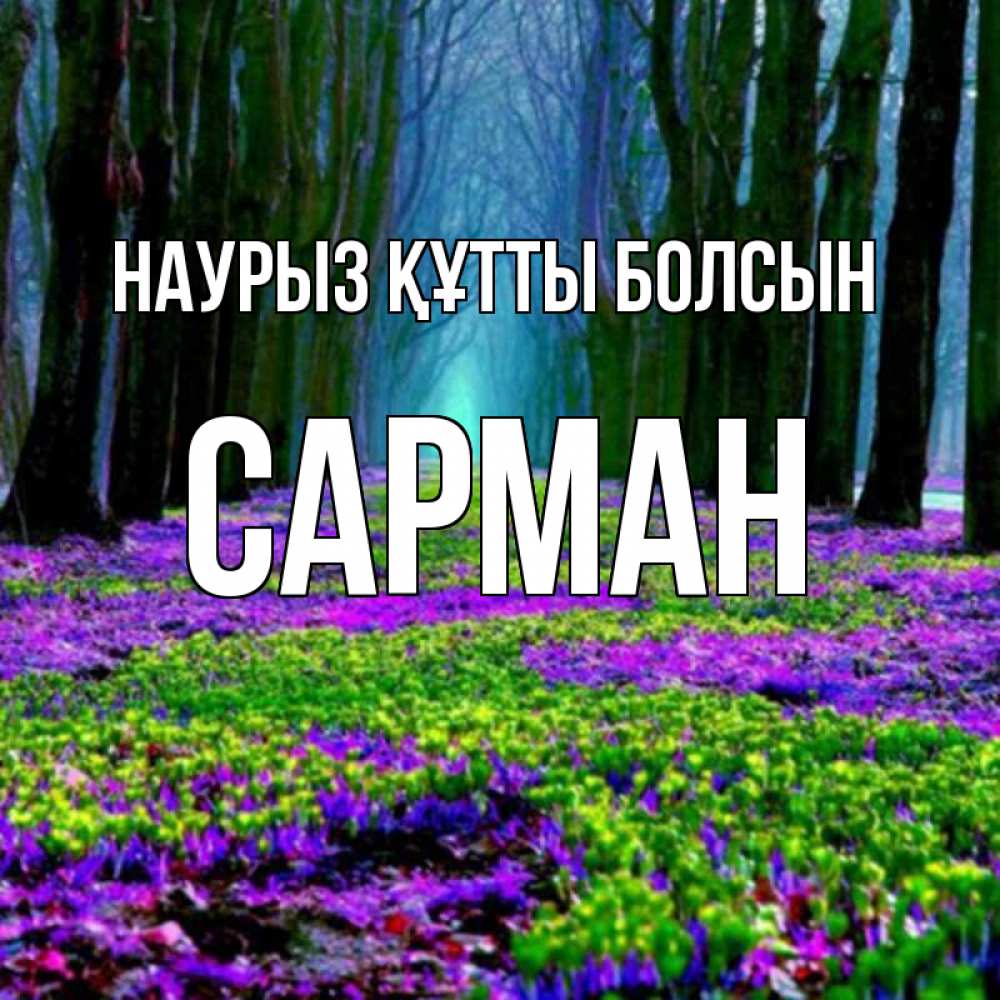 Күн сайын ашық хат с именем, САРМАН Наурыз құтты болсын фиолетовые цветы в лесу 1 Онлайн тегін жүктеп алу тілектері бар керемет карта 