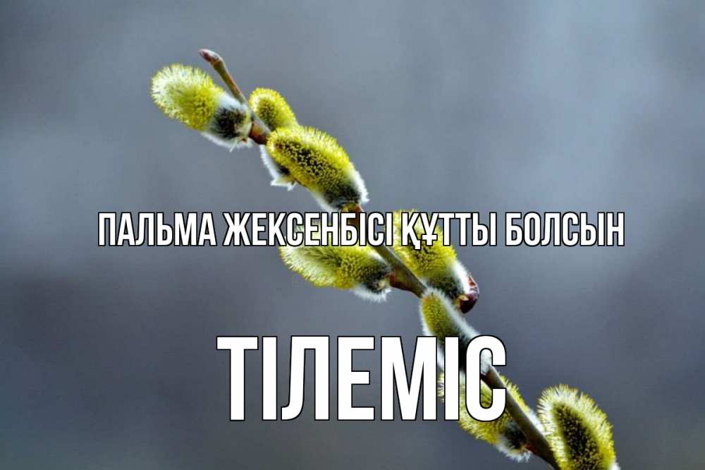 Күн сайын ашық хат с именем, ТІЛЕМІС Пальма жексенбісі құтты болсын верба Онлайн тегін жүктеп алу тілектері бар керемет карта 