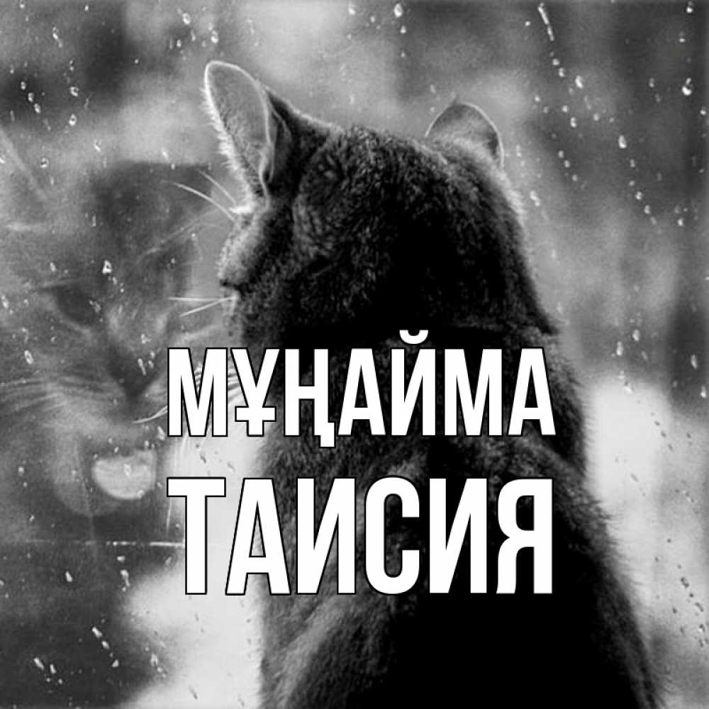 Күн сайын ашық хат с именем, Таисия Мұңайма отражение кота 1 Онлайн тегін жүктеп алу тілектері бар керемет карта 