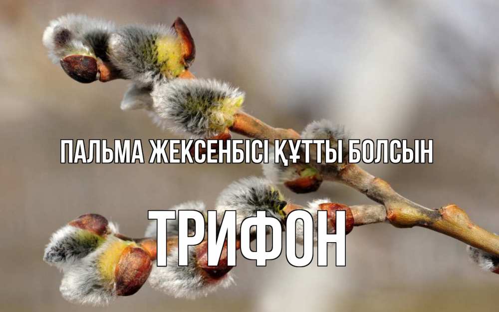 Күн сайын ашық хат с именем, Трифон Пальма жексенбісі құтты болсын Верба Онлайн тегін жүктеп алу тілектері бар керемет карта 