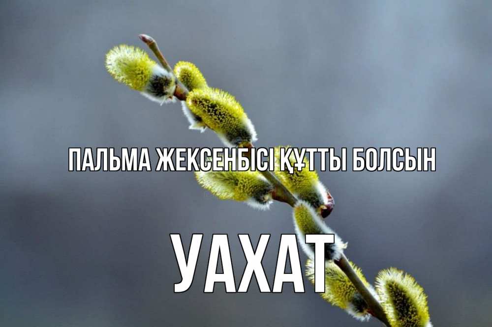 Күн сайын ашық хат с именем, УАХАТ Пальма жексенбісі құтты болсын верба Онлайн тегін жүктеп алу тілектері бар керемет карта 