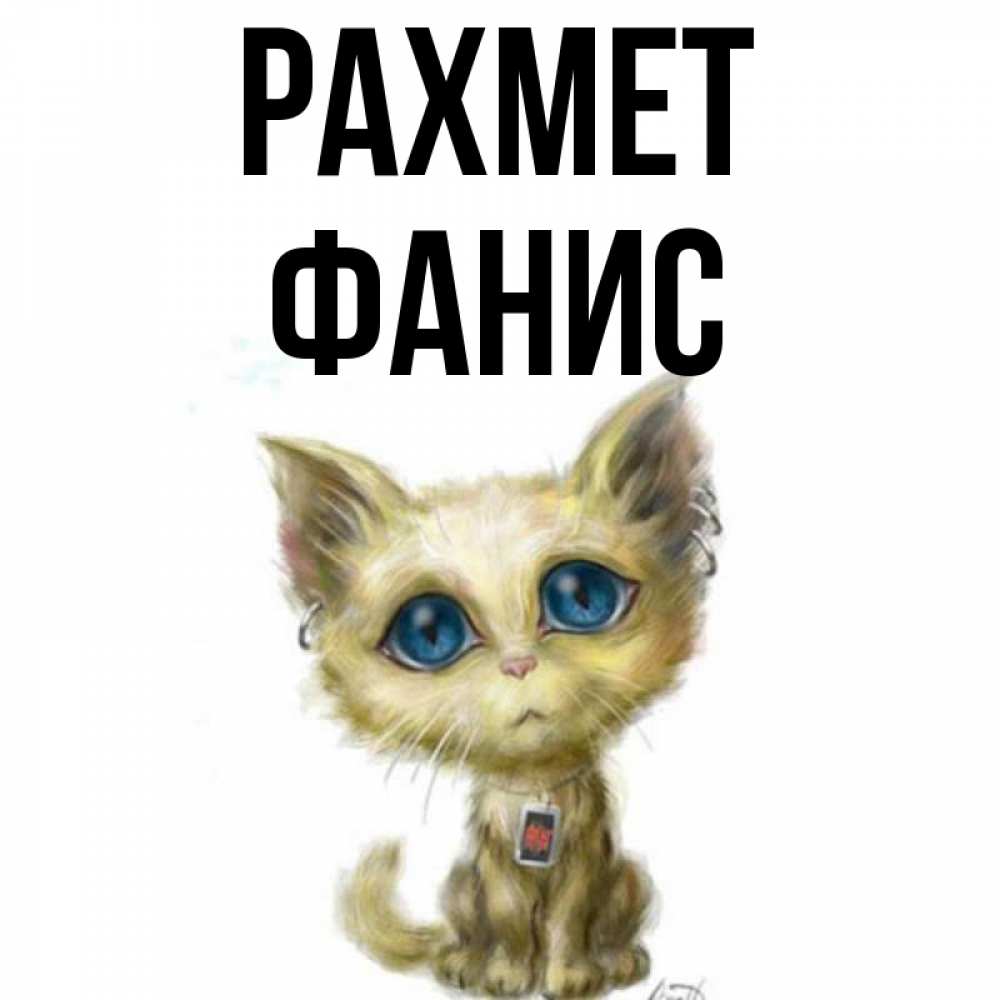 Күн сайын ашық хат с именем, Фанис рахмет рисованный кот благодарит вас Онлайн тегін жүктеп алу тілектері бар керемет карта 