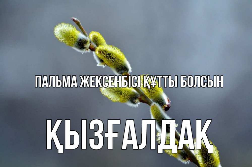 Күн сайын ашық хат с именем, ҚЫЗҒАЛДАҚ Пальма жексенбісі құтты болсын верба Онлайн тегін жүктеп алу тілектері бар керемет карта 