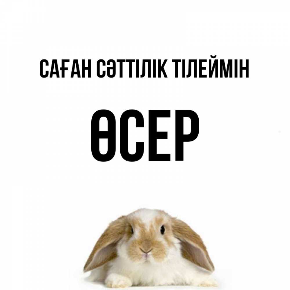 Күн сайын ашық хат с именем, ӨСЕР Саған сәттілік тілеймін открытки с произвольным текстом который можно вставить в открытку и создать ее самостоятельно бесплатно онлайн Онлайн тегін жүктеп алу тілектері бар керемет карта 