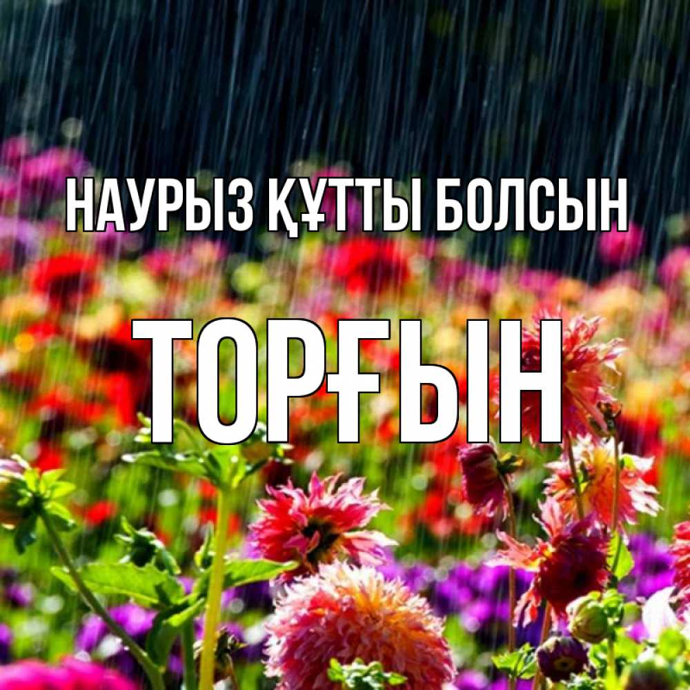 Күн сайын ашық хат с именем, ТОРҒЫН Наурыз құтты болсын цветы под дождиком к наурызу Онлайн тегін жүктеп алу тілектері бар керемет карта 
