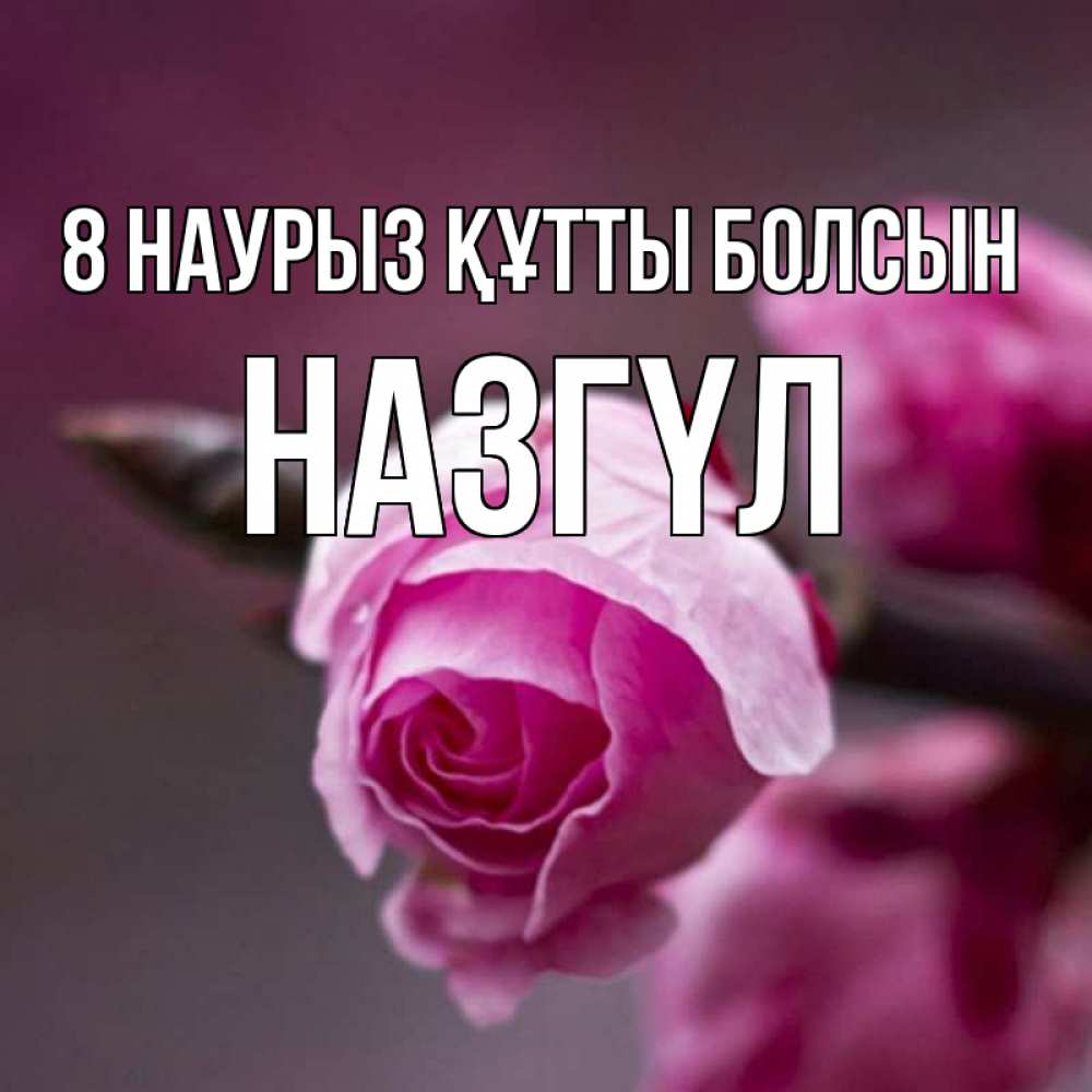 Күн сайын ашық хат с именем, НАЗГҮЛ 8 наурыз құтты болсын весна Онлайн тегін жүктеп алу тілектері бар керемет карта 