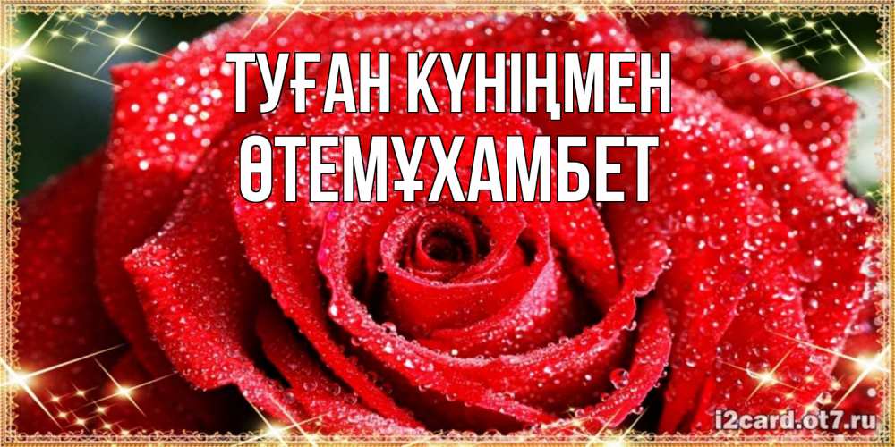 Күн сайын ашық хат с именем, ӨТЕМҰХАМБЕТ Туған күніңмен роса и роза. открытка с красивой розой Онлайн тегін жүктеп алу тілектері бар керемет карта 