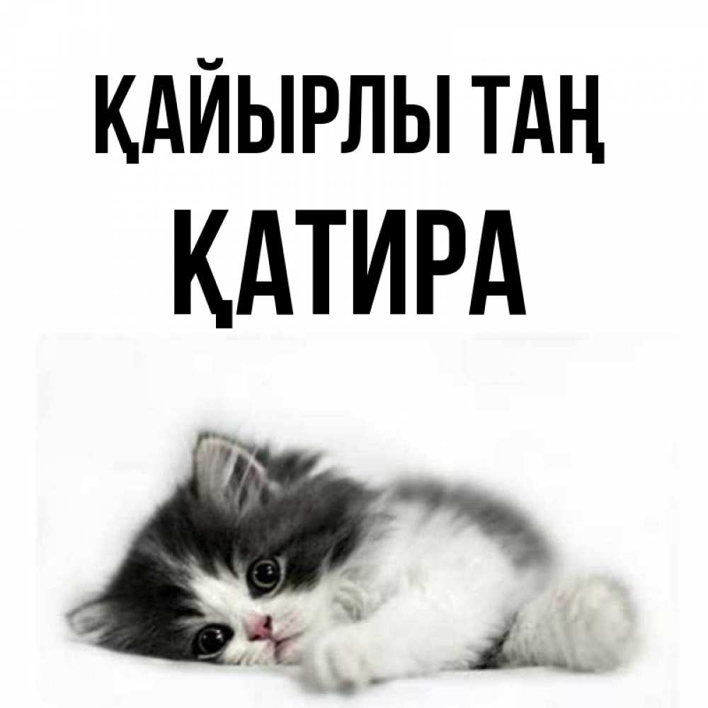 Күн сайын ашық хат с именем, ҚАТИРА Қайырлы таң кот лапки Онлайн тегін жүктеп алу тілектері бар керемет карта 