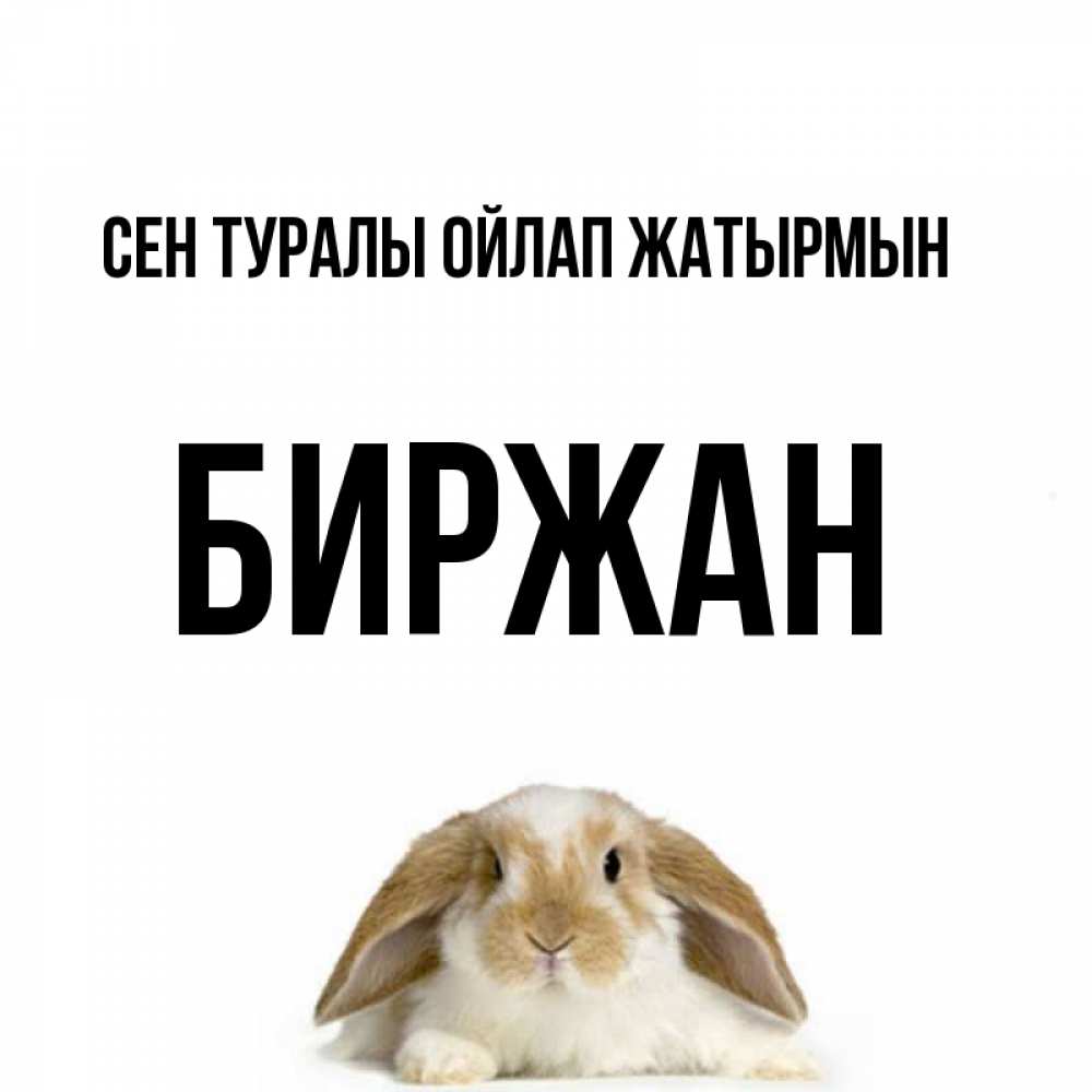 Күн сайын ашық хат с именем, Биржан Сен туралы ойлап жатырмын подписать своими руками онлайн Онлайн тегін жүктеп алу тілектері бар керемет карта 