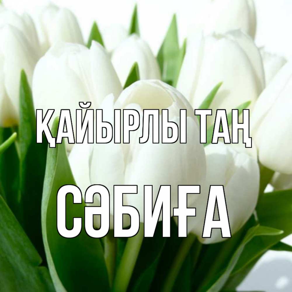 Күн сайын ашық хат с именем, СӘБИҒА Қайырлы таң открытки на каждый день по именам Онлайн тегін жүктеп алу тілектері бар керемет карта 