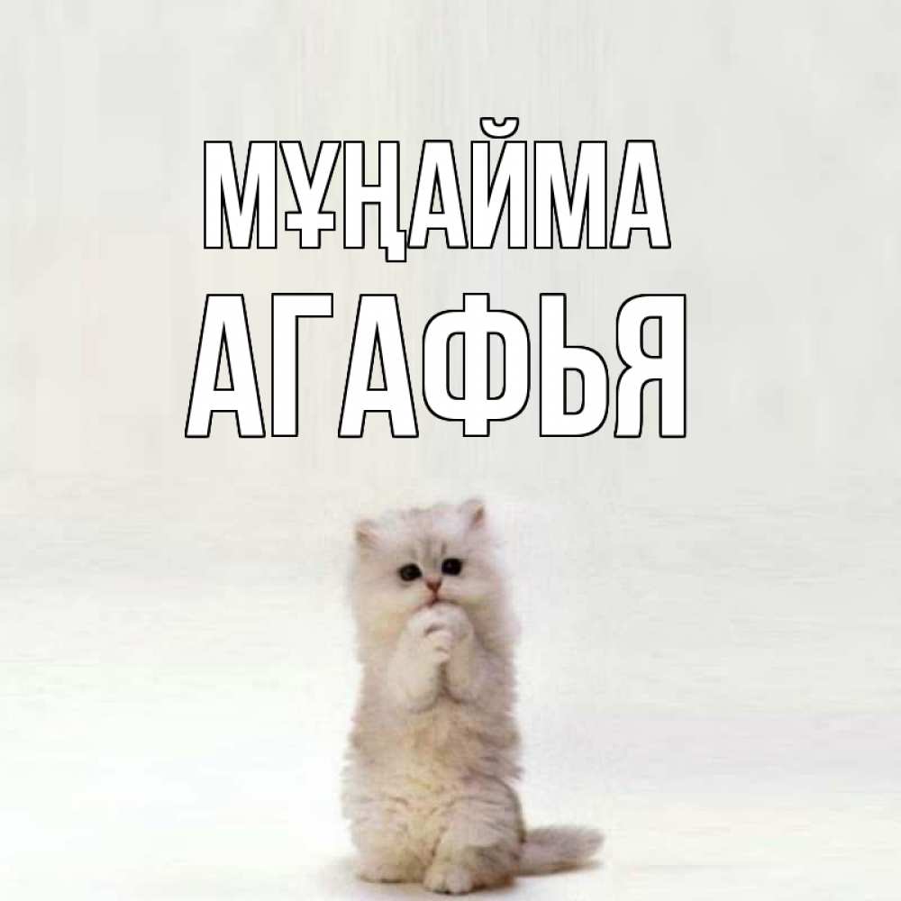 Күн сайын ашық хат с именем, Агафья Мұңайма грустный кот Онлайн тегін жүктеп алу тілектері бар керемет карта 