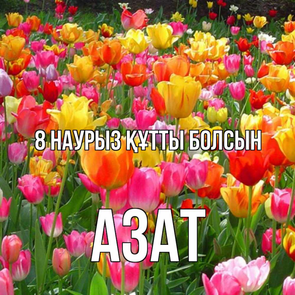 Күн сайын ашық хат с именем, Азат 8 наурыз құтты болсын на международный женский день Онлайн тегін жүктеп алу тілектері бар керемет карта 