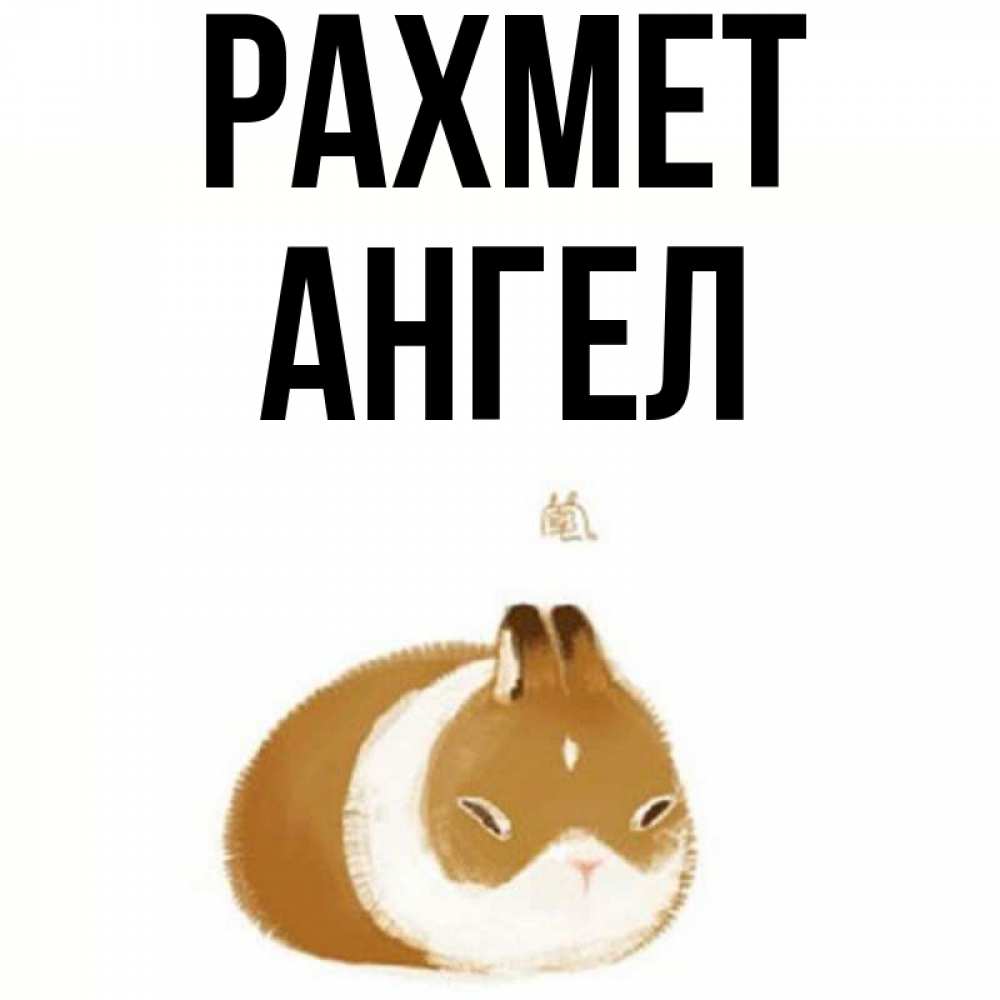 Күн сайын ашық хат с именем, Ангел рахмет коричнево белый домашний питомец Онлайн тегін жүктеп алу тілектері бар керемет карта 