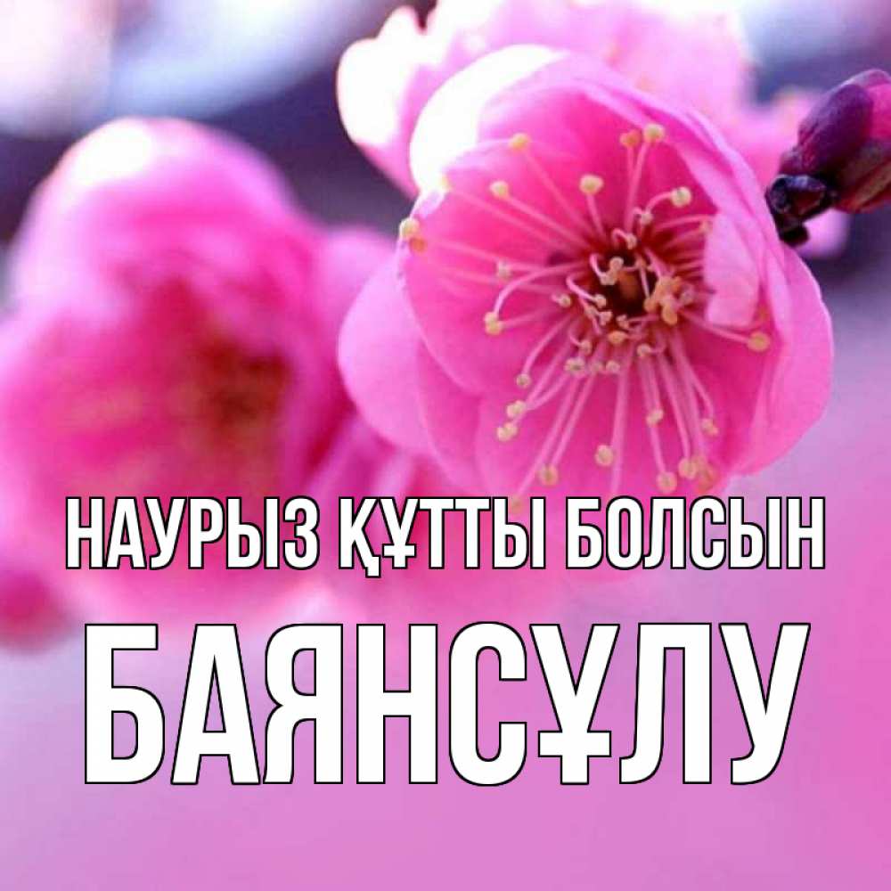 Күн сайын ашық хат с именем, БАЯНСҰЛУ Наурыз құтты болсын наурыз мейрам Онлайн тегін жүктеп алу тілектері бар керемет карта 