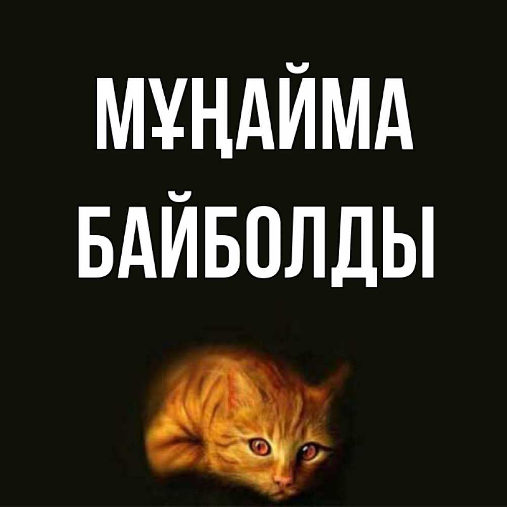 Күн сайын ашық хат с именем, Байболды Мұңайма лежащий кот в темноте Онлайн тегін жүктеп алу тілектері бар керемет карта 