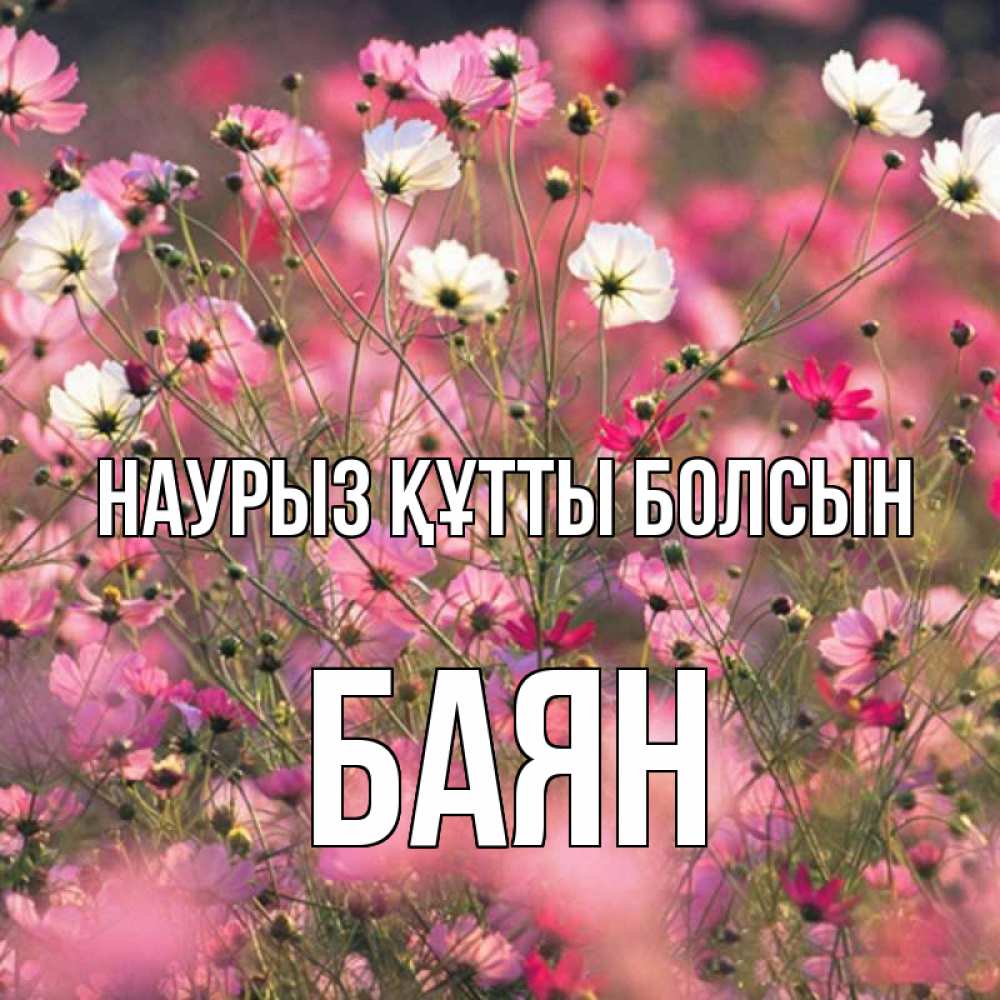 Күн сайын ашық хат с именем, Баян Наурыз құтты болсын красиво 1 Онлайн тегін жүктеп алу тілектері бар керемет карта 