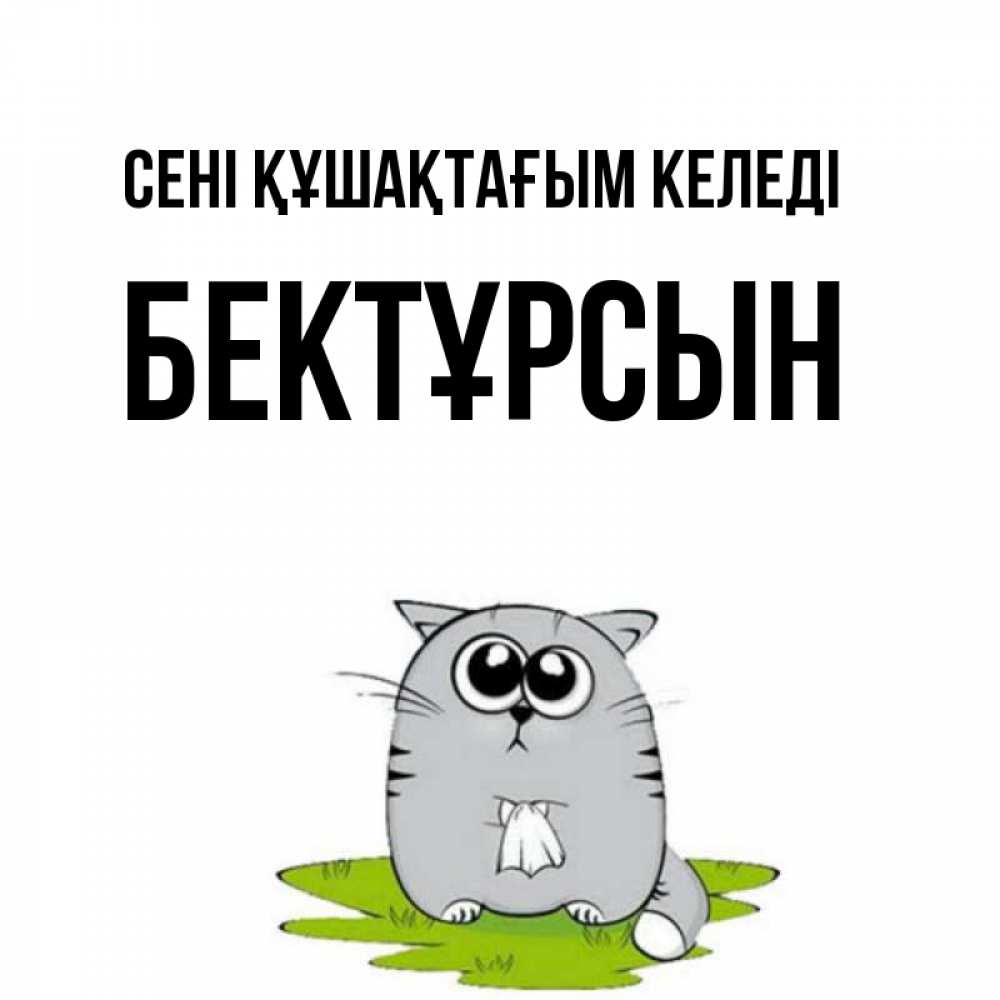 Күн сайын ашық хат с именем, Бектұрсын сені құшақтағым келеді котик теребит платочек сидя на травке Онлайн тегін жүктеп алу тілектері бар керемет карта 