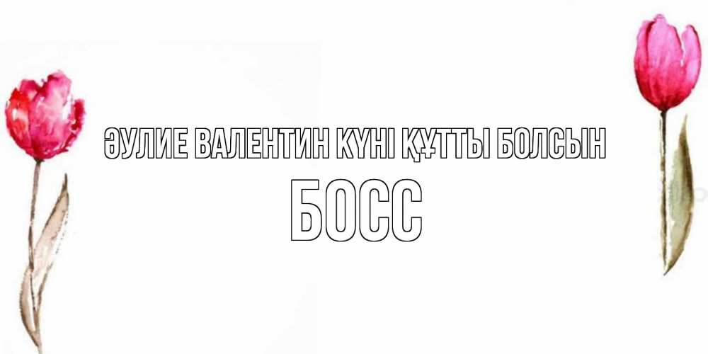 Күн сайын ашық хат с именем, Босс Әулие Валентин күні құтты болсын Открытки на день всех влюбленных с тюльпанами акварелью Онлайн тегін жүктеп алу тілектері бар керемет карта 