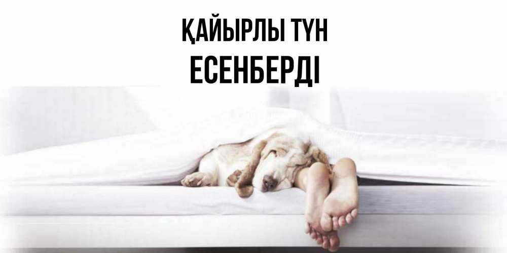 Күн сайын ашық хат с именем, Есенберді Қайырлы түн кровать с собакой пожелание сладких снов и спокойной ночи Онлайн тегін жүктеп алу тілектері бар керемет карта 